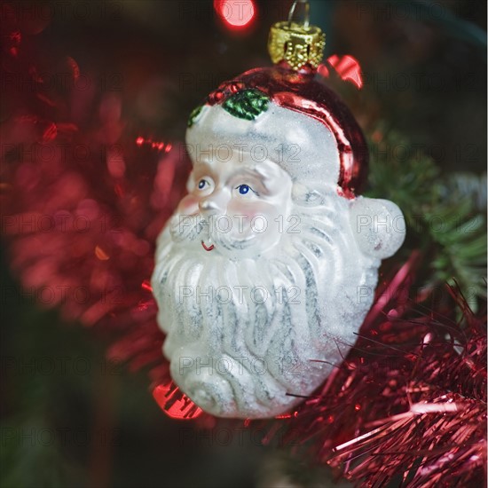 Ornament hanging on Christmas tree.