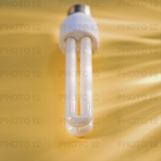 Fluorescent light bulb.