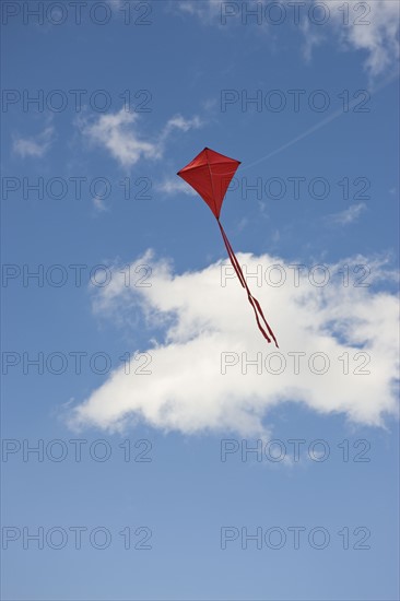 Red kite in sky.