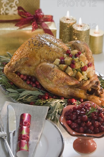 Thanksgiving turkey on decorated platter.