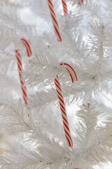 Candy canes on artificial Christmas tree.