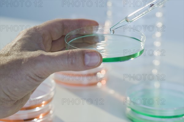 Scientist holding petri dish.