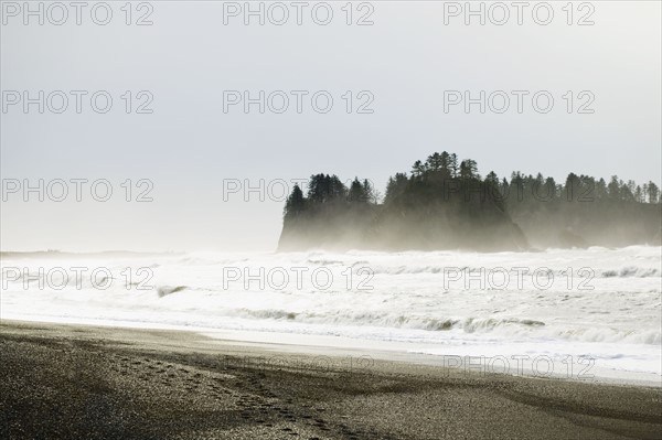 Paysage marin