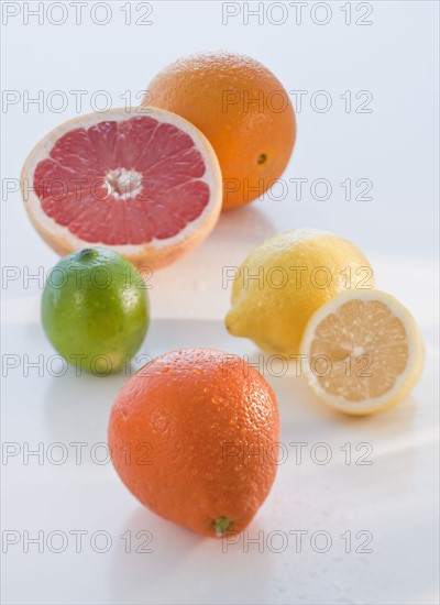 Lemons, lime, grapefruit and orange.