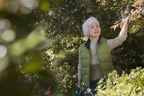 Senior woman in orchard. Photographe : mark edward atkinson