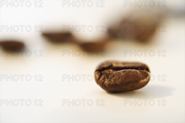 Roast coffee bean, studio shot.