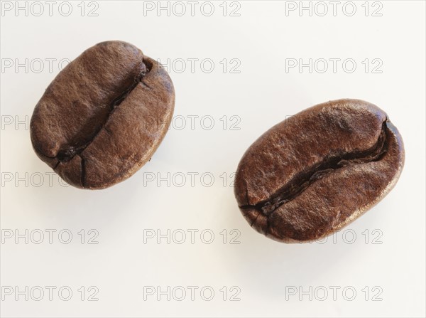 Two roast coffee beans, studio shot.