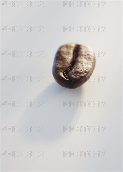 Roast coffee bean, studio shot.