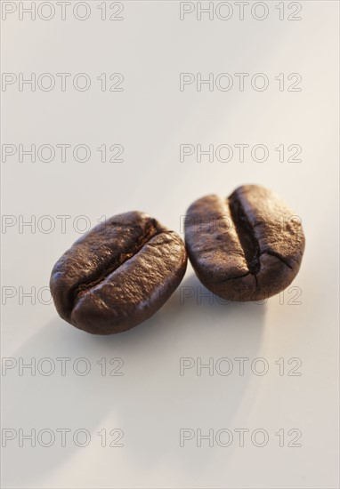 Two roast coffee beans, studio shot.