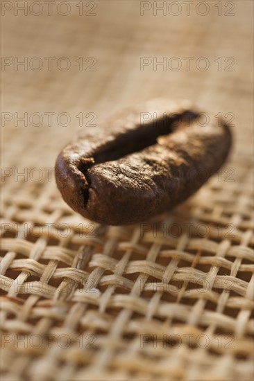 Roast coffee bean on fabric, studio shot.