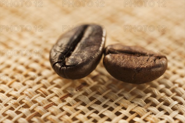 Two roast coffee beans on fabric, studio shot.