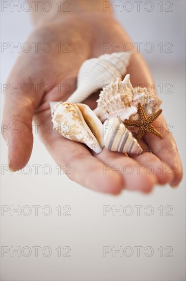 Close-up of seashells in woman's hand.