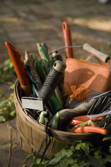 Close-up of bucket of tools. Photographe : mark edward atkinson