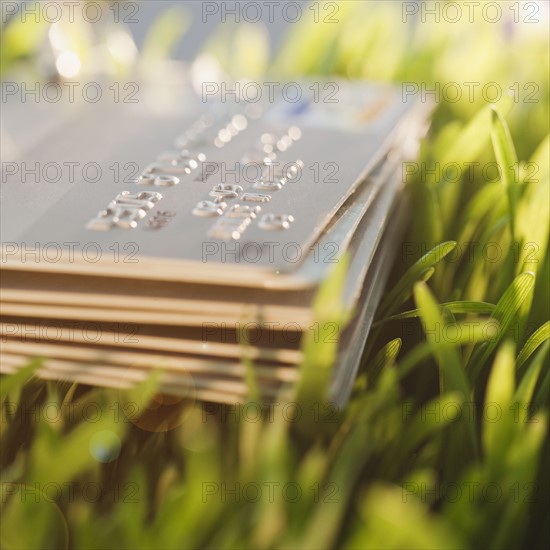 Credit cards on grass. Photographe : Jamie Grill