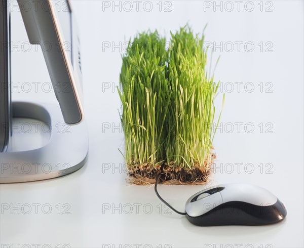 Grass growing beside computer. Photographe : Jamie Grill