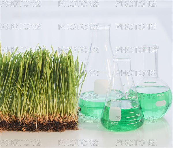 Chemicals in flasks beside grass. Photographe : Jamie Grill
