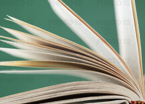 Close-up of open book, studio shot. Photographe : Jamie Grill