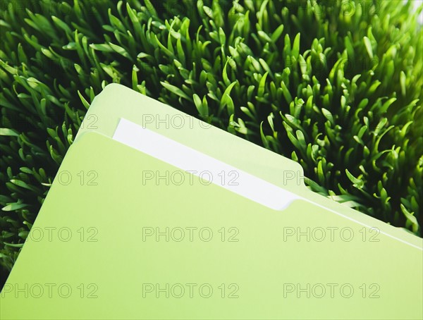 File on grass. Photographe : Jamie Grill