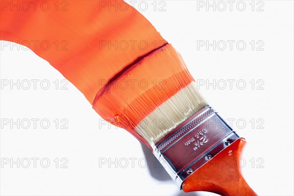 Paintbrush with orange paint. Photographe : Joe Clark