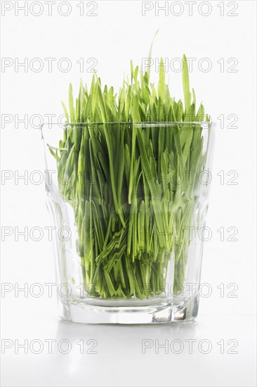 Grass in glass. Photographe : Joe Clark