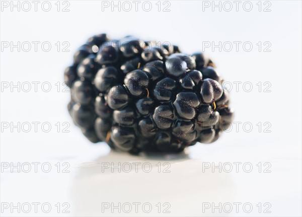 Single blackberry.