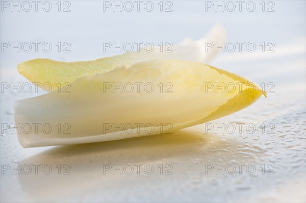 Two leaves of endive on wet surface.