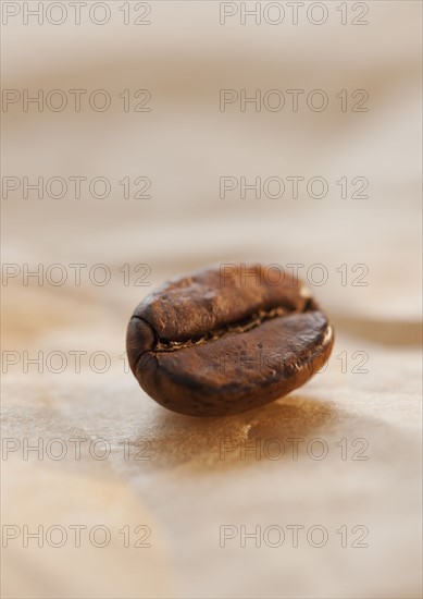 Coffee bean.