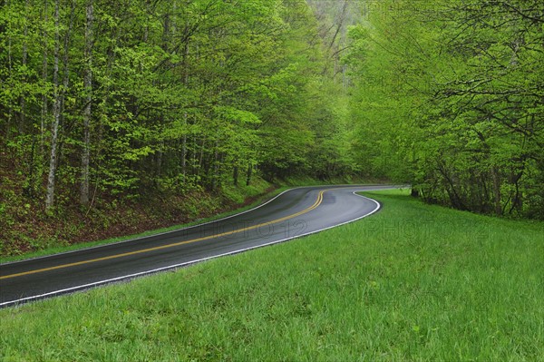 A scenic and empty road.