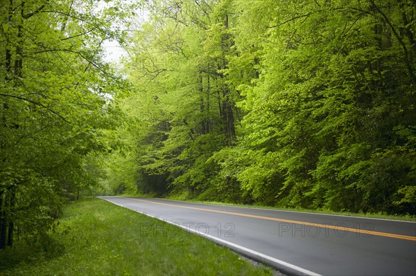 A scenic and empty road.