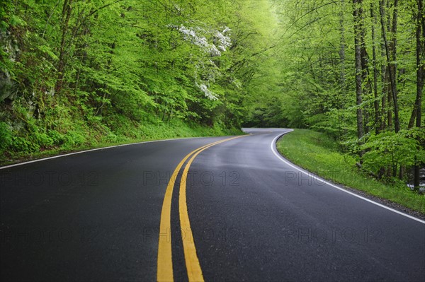 A scenic and empty road.