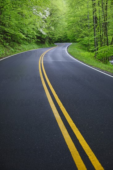 A scenic and empty road.