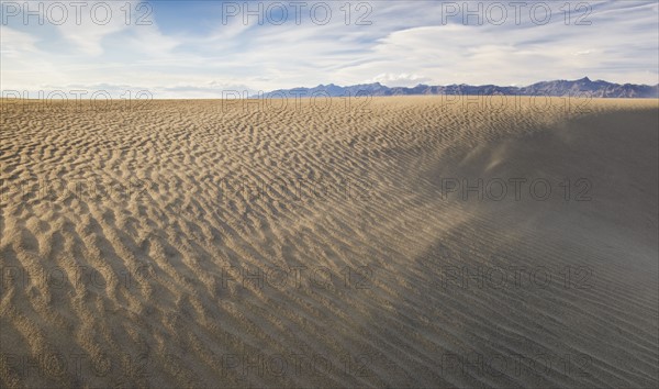 Sand dunes in the desert.