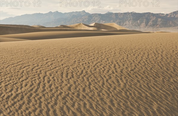 Sand dunes in the desert.