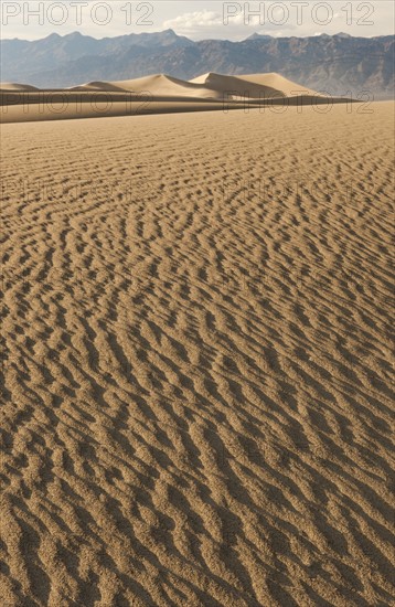 Sand dunes in the desert.