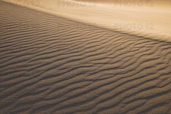 Sand dunes in the desert.
