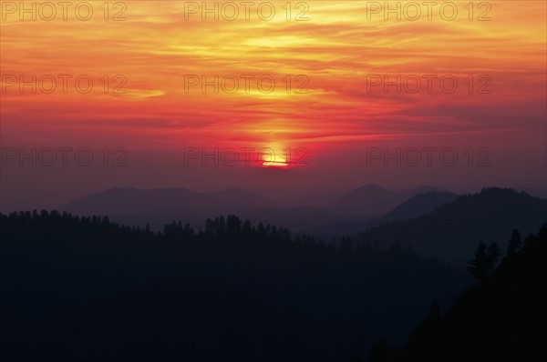 Sequoia National Forest