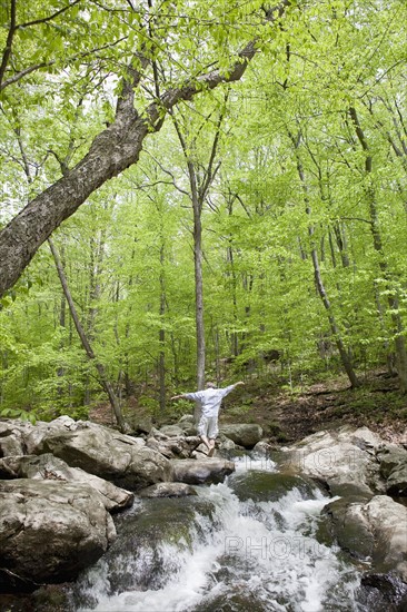 A man at a stream in the woods