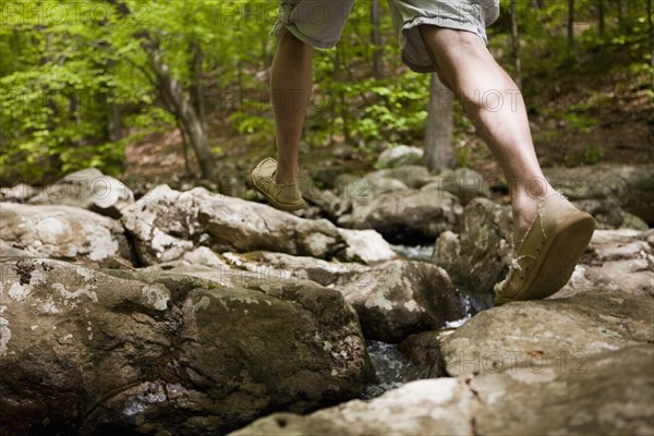 A man at a stream in the woods