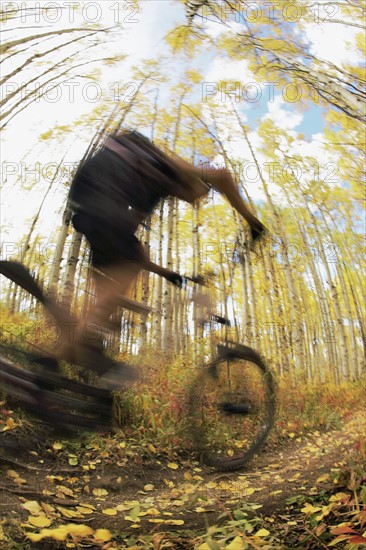 Biker in the woods