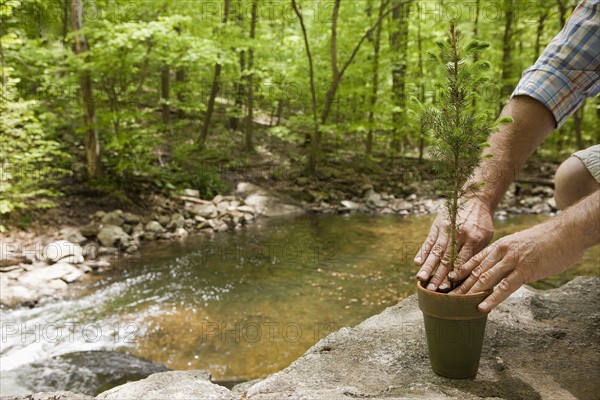 A man with a plant in the woods