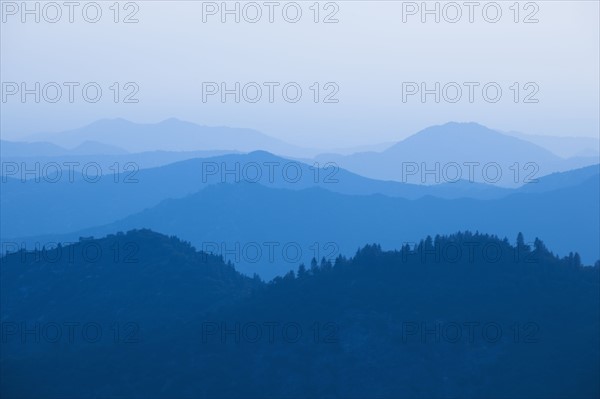 Mountain landscape with trees.