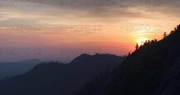 Mountain landscape with trees.