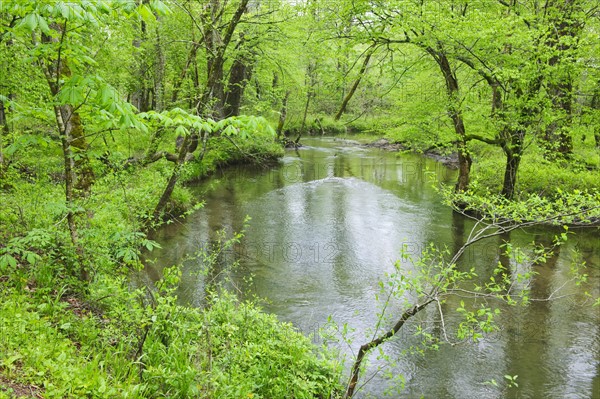 Flowing creek.