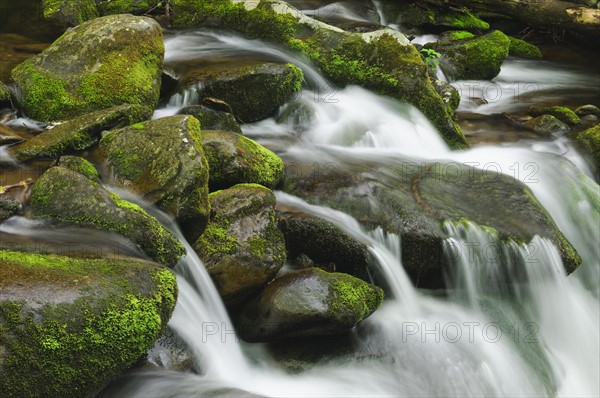 Flowing creek.