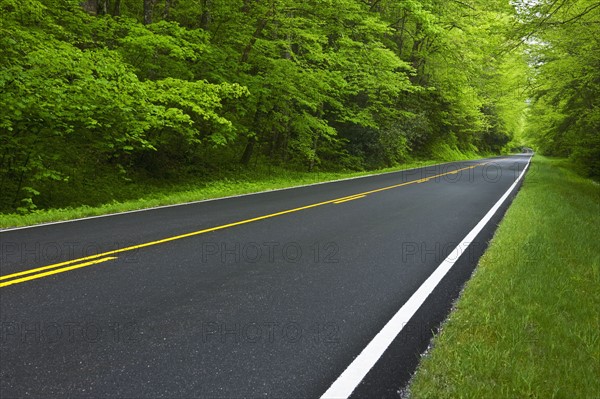 A scenic and empty road.