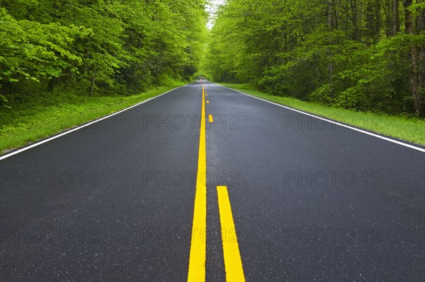 A scenic and empty road.