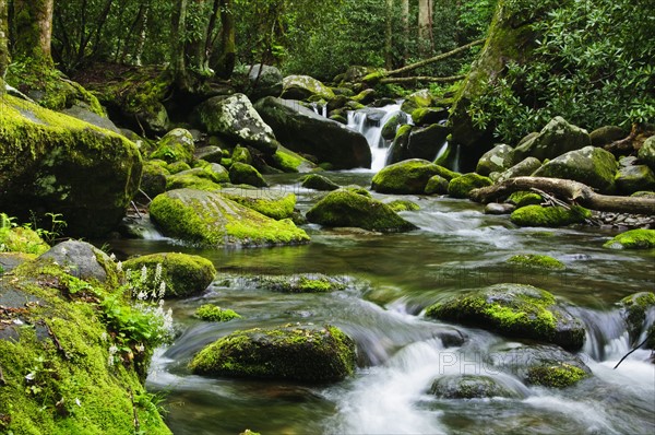 Flowing creek