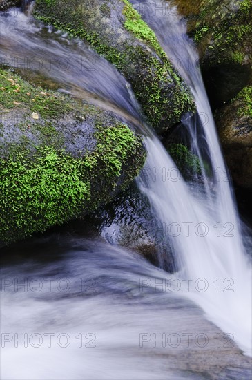 Flowing creek