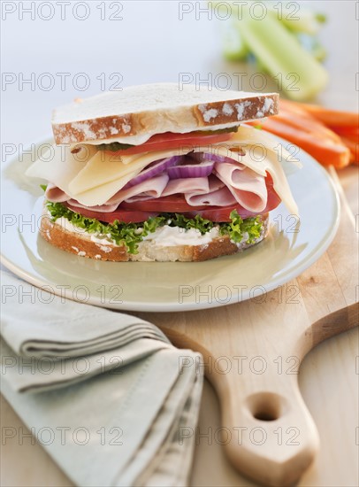 A tasty sandwich.