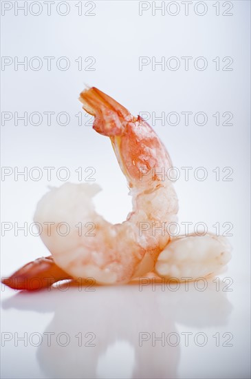 Two shrimps.